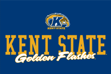 Load image into Gallery viewer, Kent State University Golden Flashes NCAA Campus Script Unisex T-Shirt
