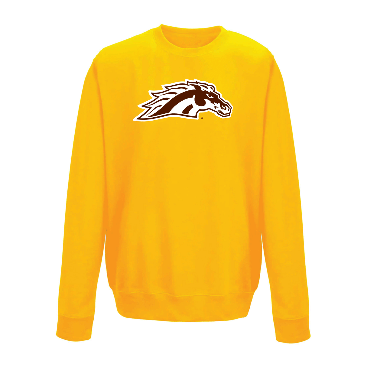 Western Michigan University Broncos Large Logo