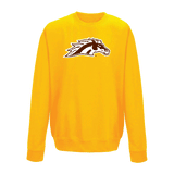 Western Michigan University Broncos Large Logo